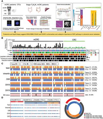 Proteomics and liquid biopsy characterization of human EMT-related metastasis in colorectal cancer